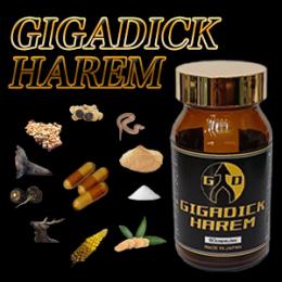GIGADICK HAREM（ギガディックハーレム）送料無料3個セット