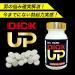 ＤＩＣＫ ＵＰ（ディックアップ）