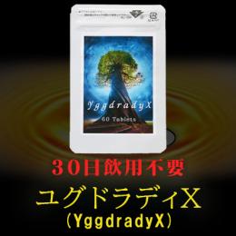 YggdradyX（ユグドラディＸ）送料無料3個セット