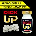 ＤＩＣＫ ＵＰ（ディックアップ）