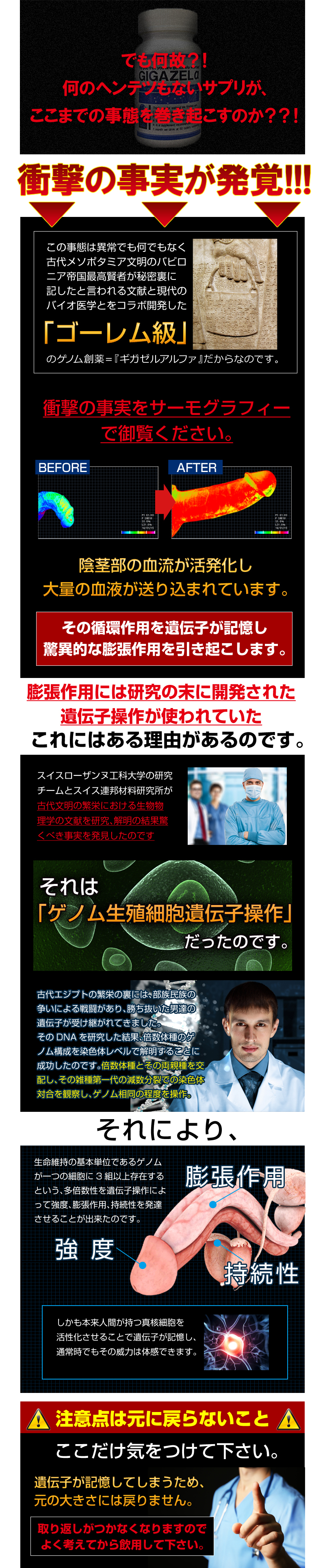 ギガゼルアルファ