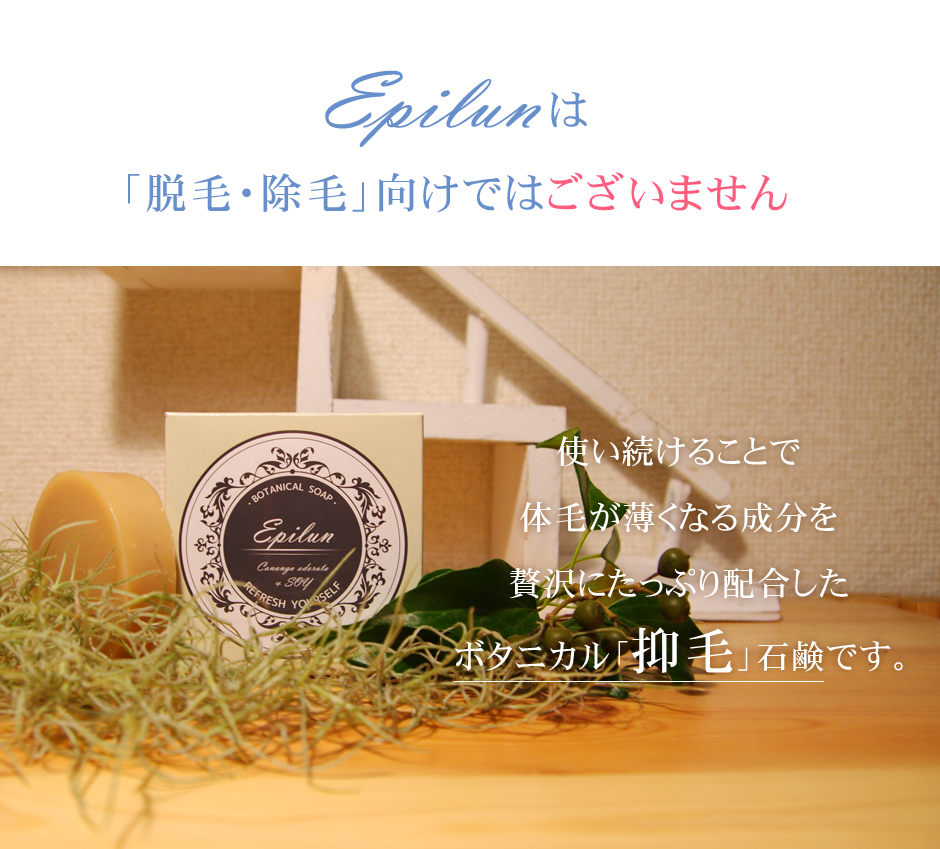 Epilun エピルン 固形ボタニカルソープ アナタの元気を応援する通販サイトです パワスポ