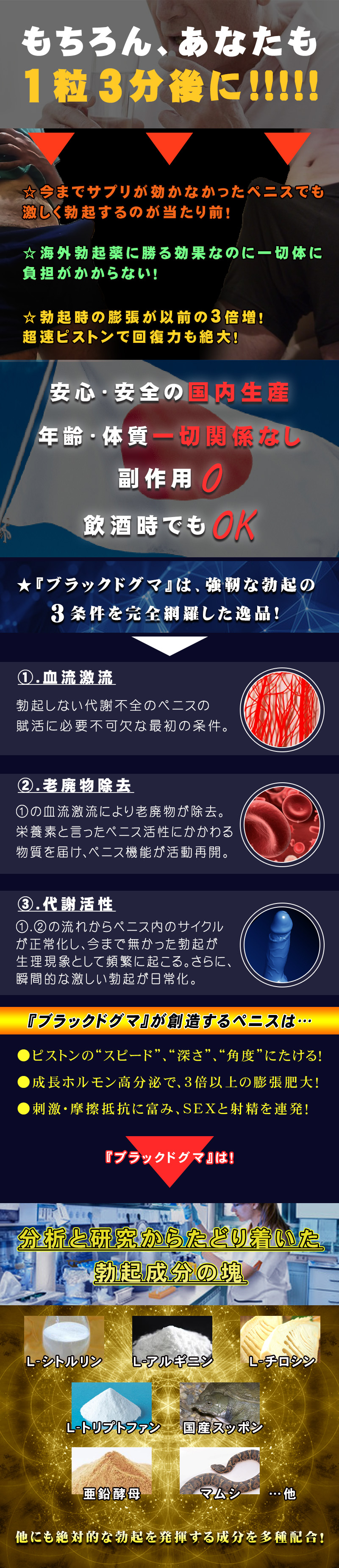 BLACK DOGMA（ブラックドグマ）