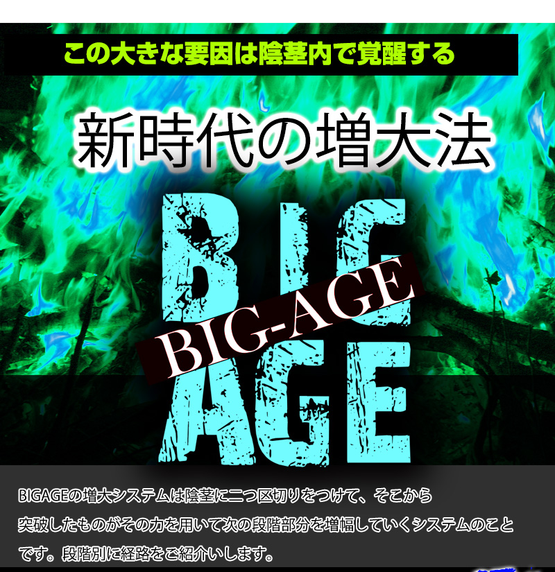 BIG AGE（ビッグエイジ）