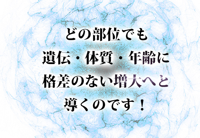 VOL BREAK(ヴォルブレイク)