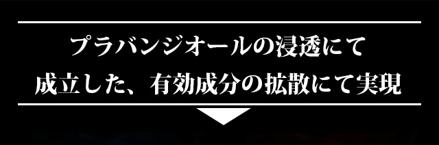 VOL BREAK(ヴォルブレイク)