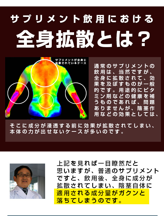 密縮シトルリンZ1