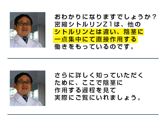 密縮シトルリンZ1