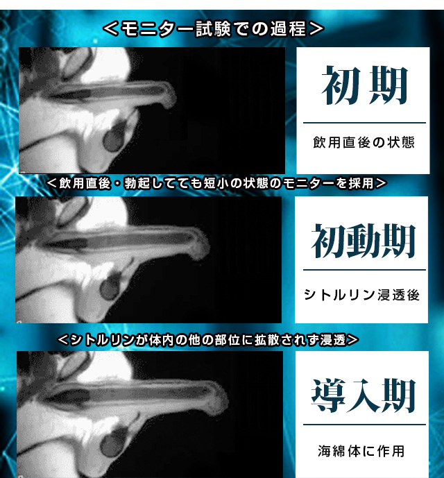 密縮シトルリンZ1