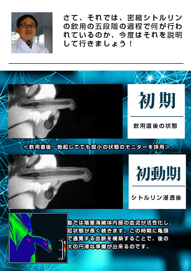密縮シトルリンZ1