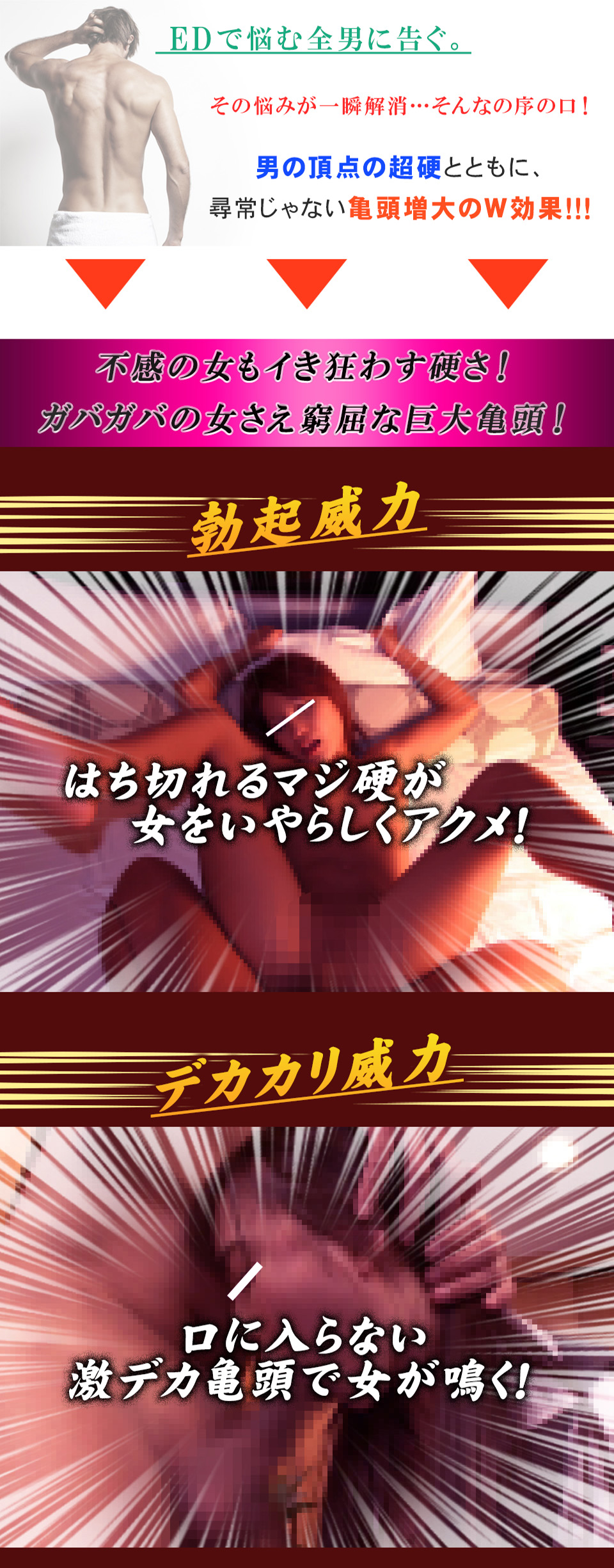 ベルゼルクス Verzeruks