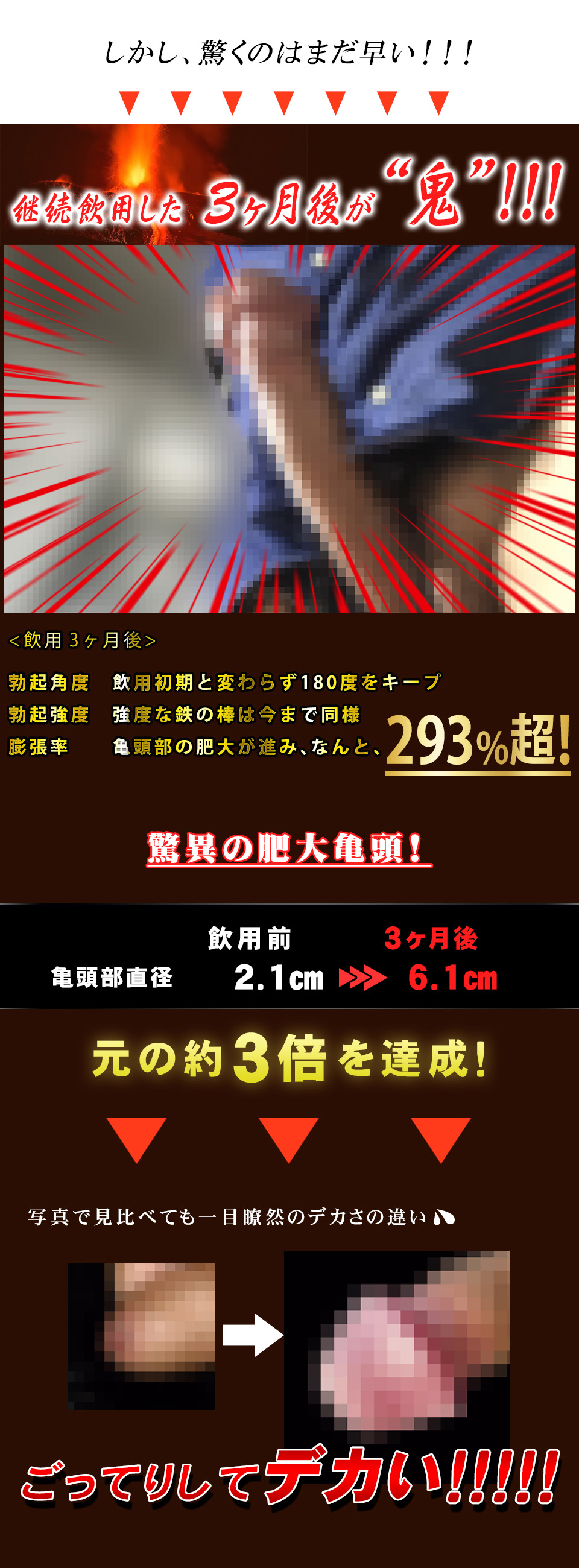 ベルゼルクス Verzeruks