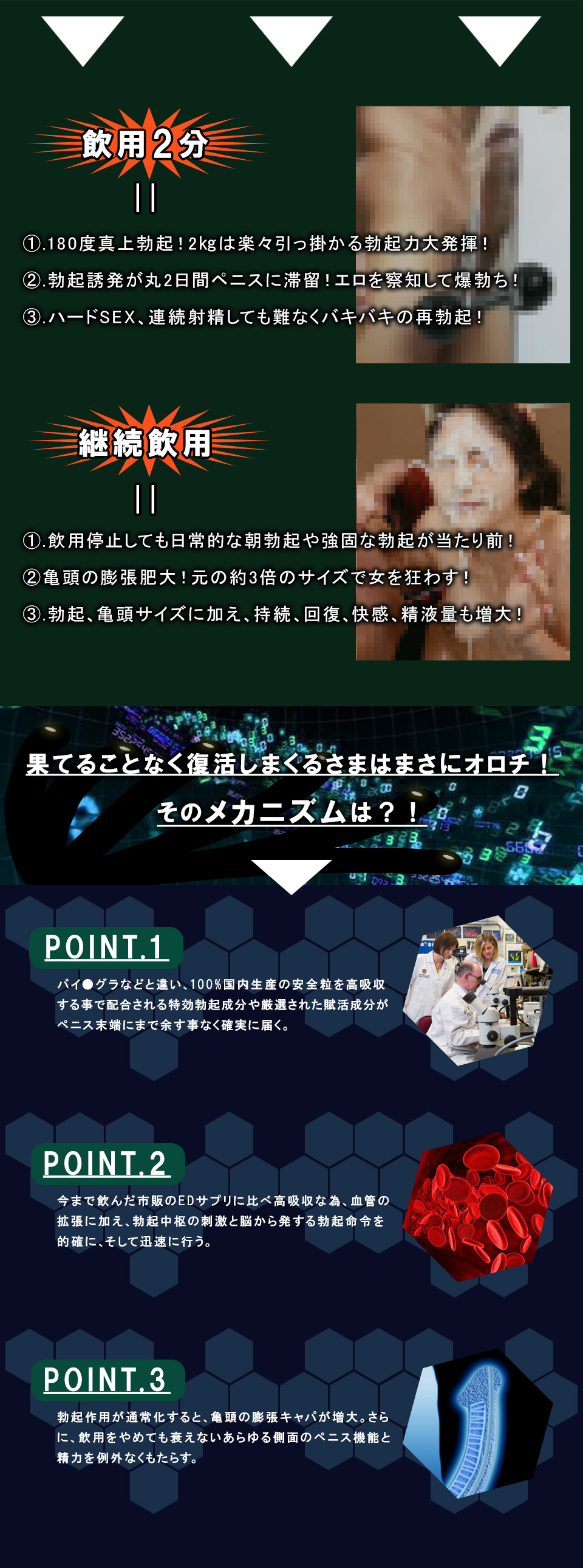 ベルゼルクス Verzeruks