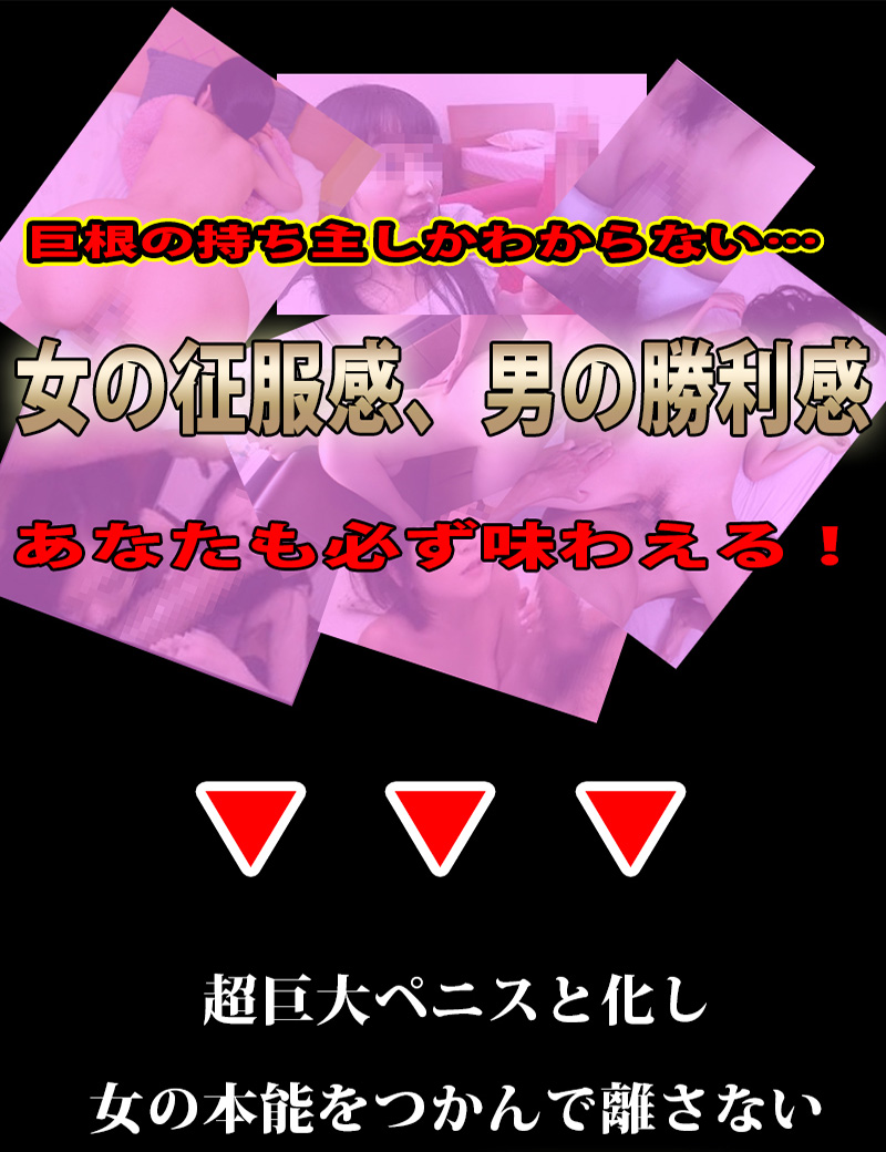 OgreCodeVX(オーガコードVX)