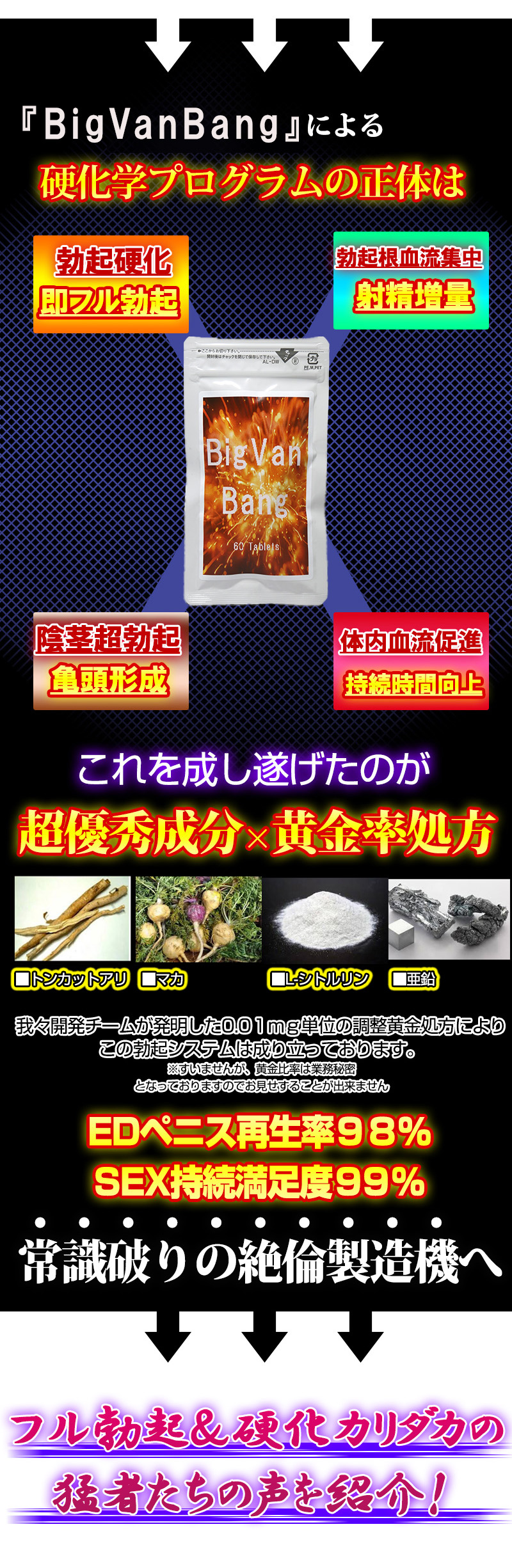 ビッグヴァンバン (BigVanBang)