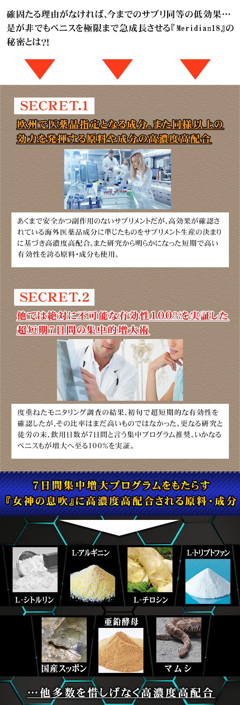 Meridian18(メリディアン18)