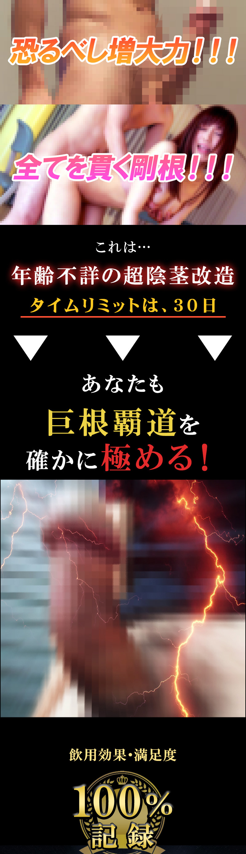 無敵覇王丸(むてきはおうがん)