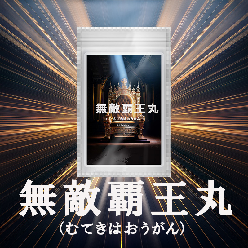 無敵覇王丸(むてきはおうがん)