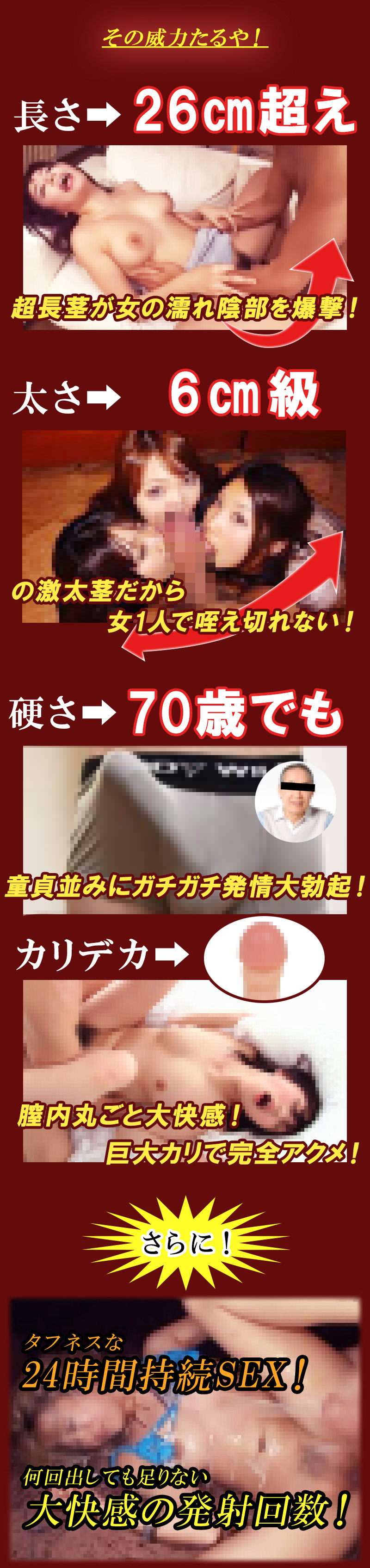 無敵覇王丸(むてきはおうがん)