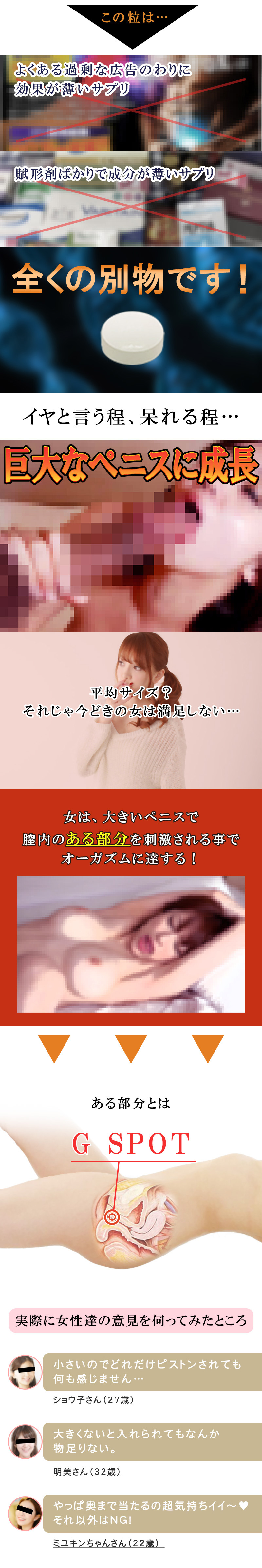 無敵覇王丸(むてきはおうがん)