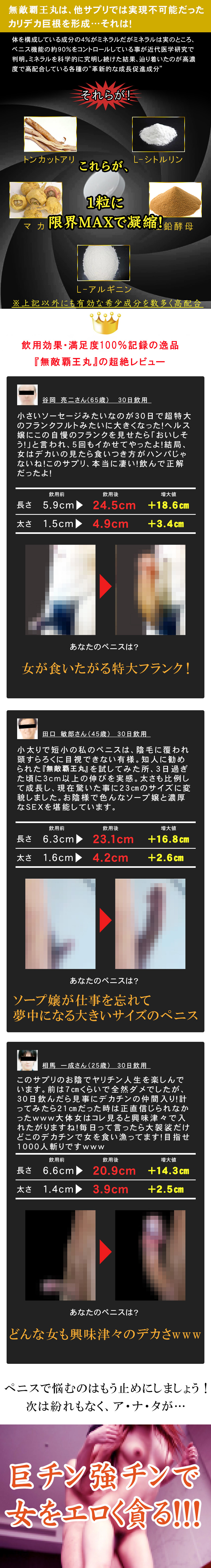 無敵覇王丸(むてきはおうがん)