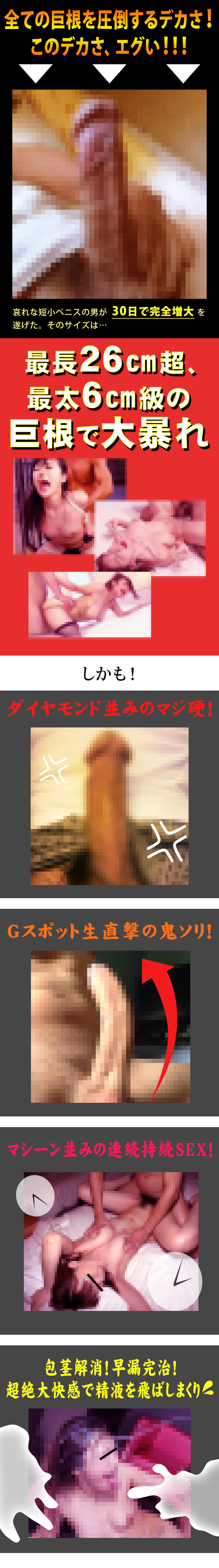 BlackGigant（ブラックギガント）