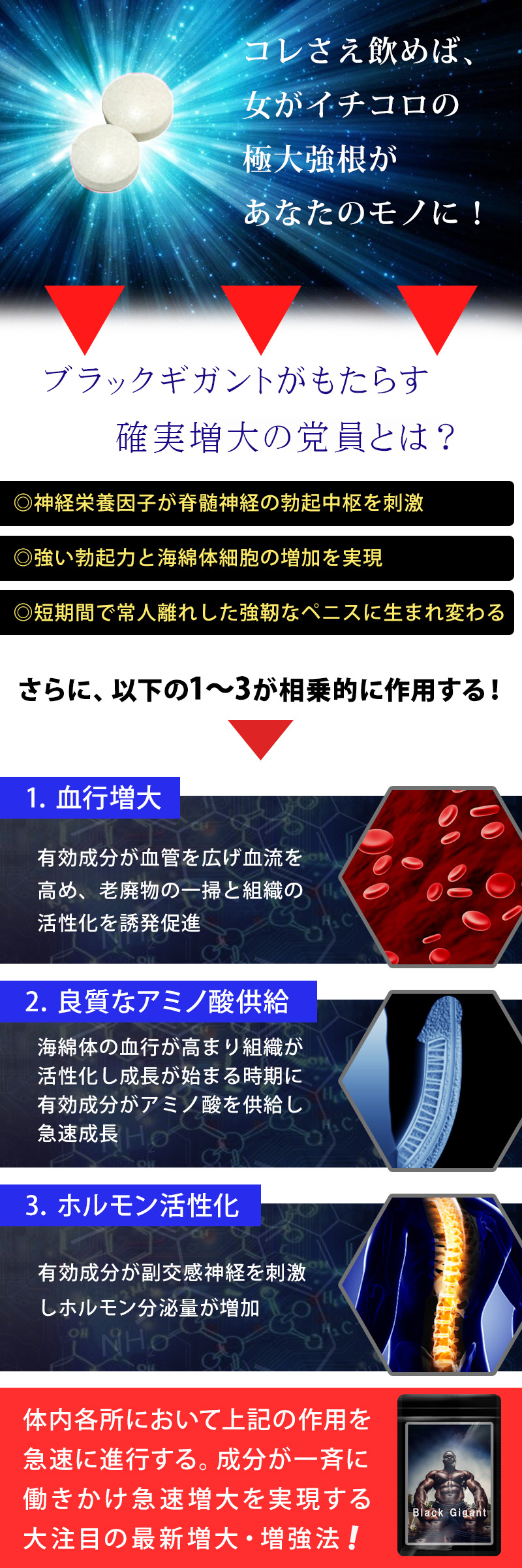 BlackGigant（ブラックギガント）