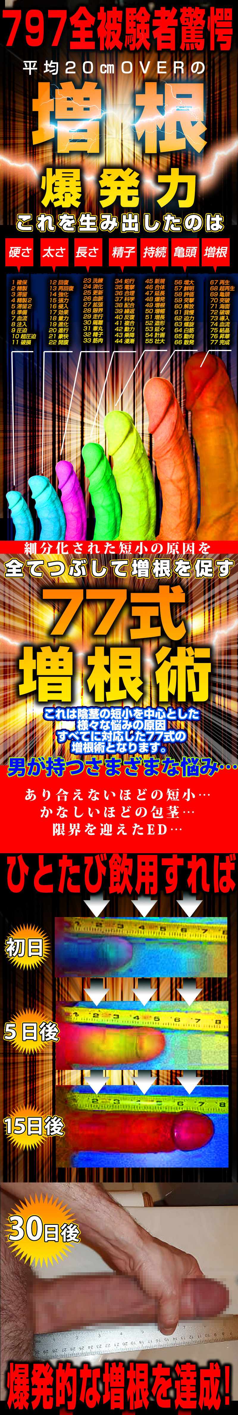 MEGAVolt77(メガヴォルト77)