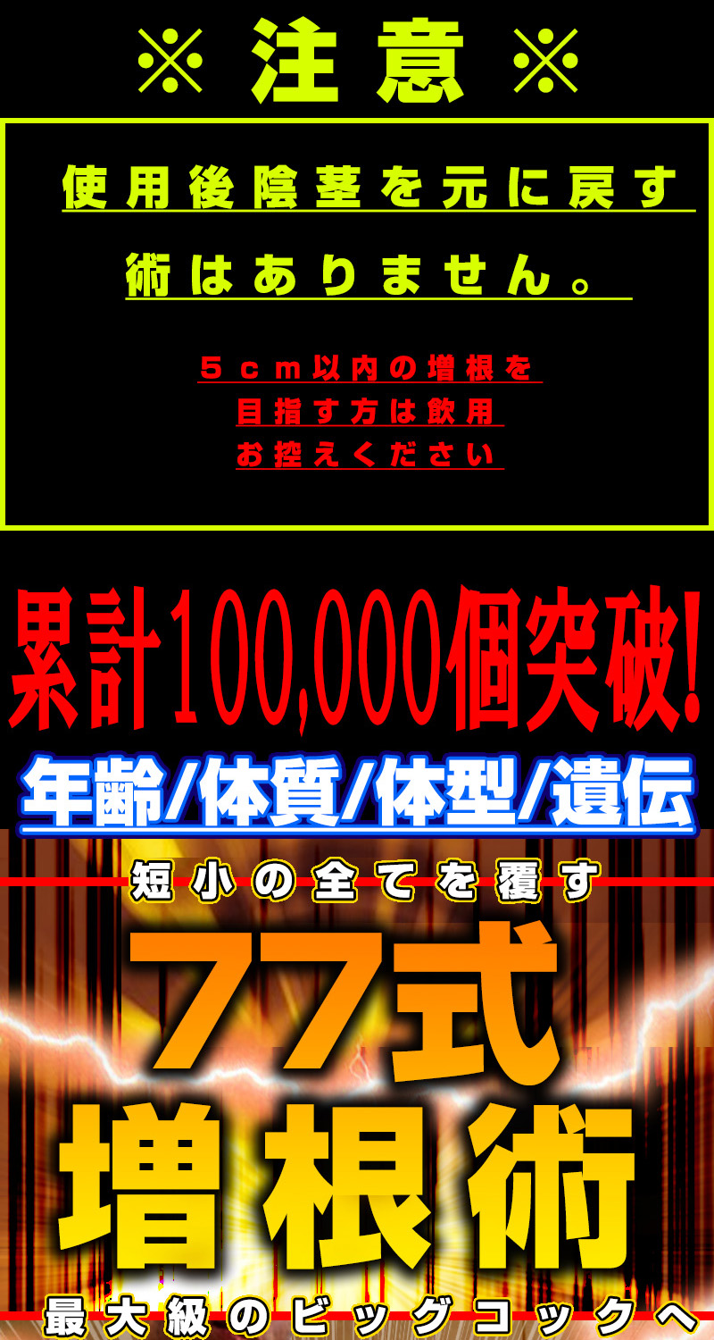 MEGAVolt77(メガヴォルト77)