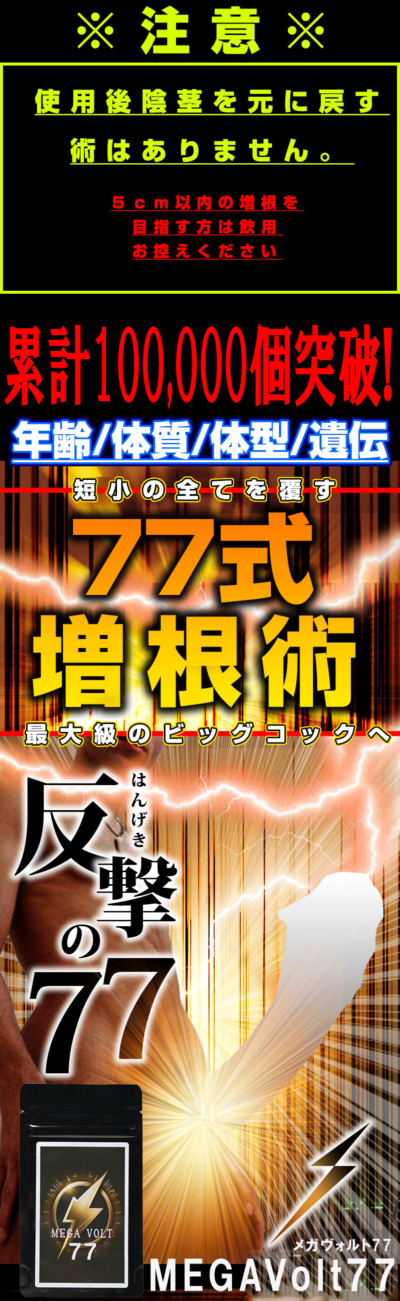 MEGAVolt77(メガヴォルト77)