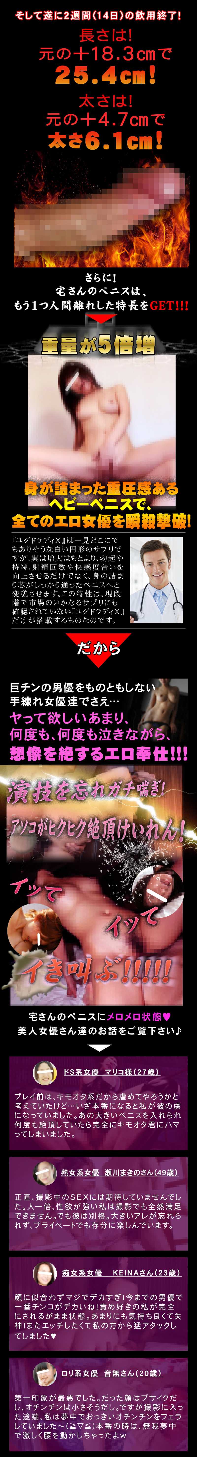 ユグドラディＸ(YggdradyX)