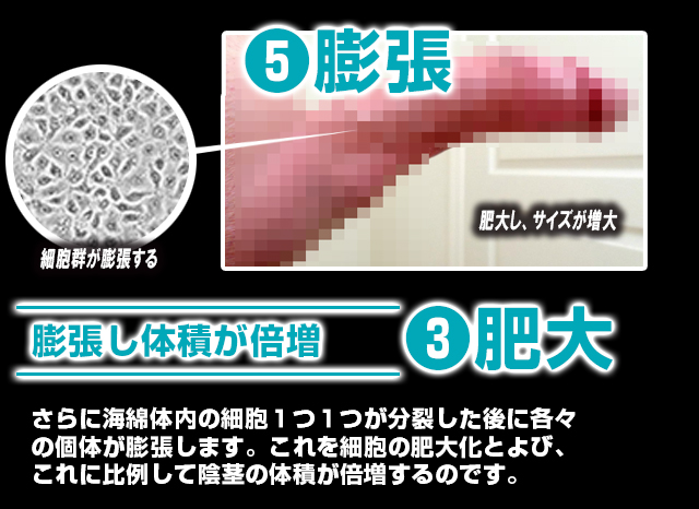 ザ・ブルーモンスターローション