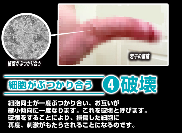 ザ・ブルーモンスターローション